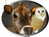 Barnowl logo cut out 250x189